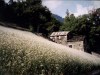 ACCADEMIA DEL PIZZOCCHERO